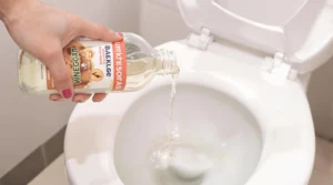Solution miracle pour déboucher les WC rapidement et naturellement