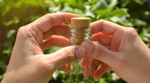 Pourquoi choisir un bouchon liege pour vos bouteilles rares