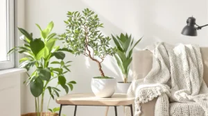 Money tree crassula : astuces pour une plante saine et épanouie